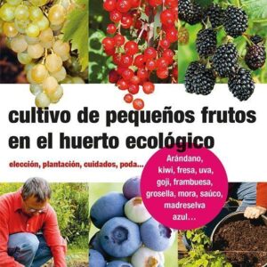 Cultivo de pequeños frutos en el huerto